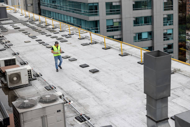 Professional Roofing Service in Demopolis, AL
