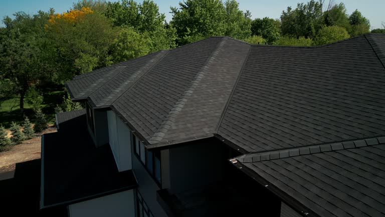 Best Skylight Installation and Repair  in Demopolis, AL