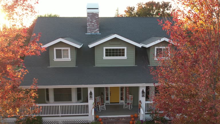 Best Roof Ventilation Installation  in Demopolis, AL