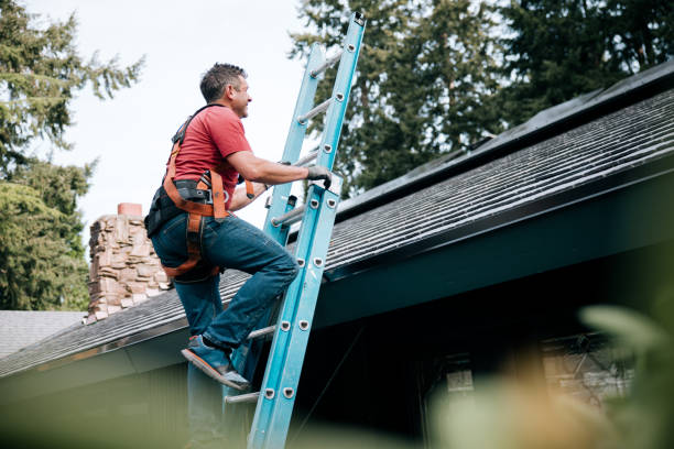 Best Roof Leak Repair  in Demopolis, AL
