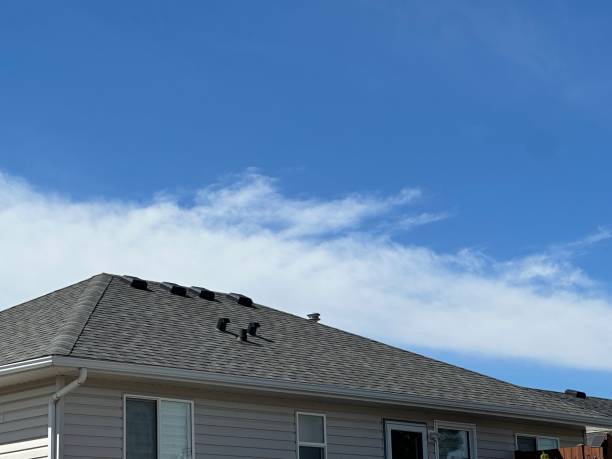 Roof Insulation in Demopolis, AL
