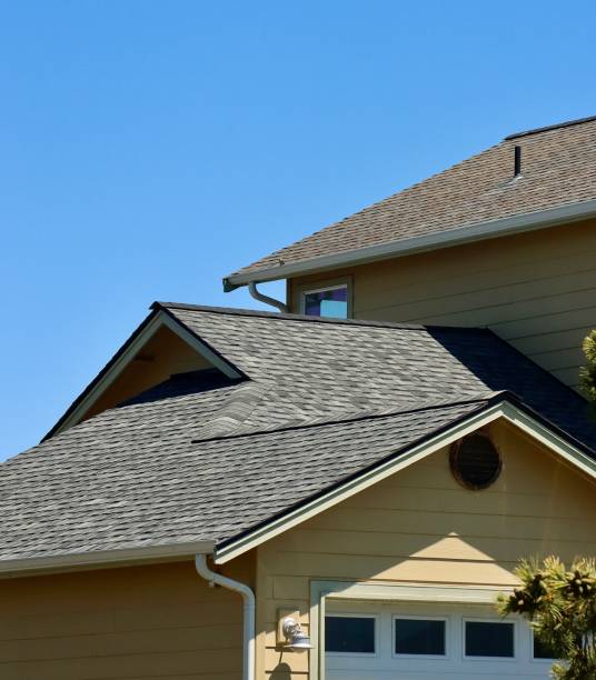 Best Roof Maintenance and Cleaning  in Demopolis, AL