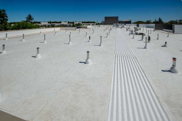 Best Solar Panel Roofing Installation  in Demopolis, AL